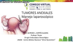 Tumores anexiales no endometrioma