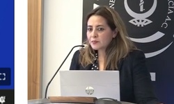 Caso 1: Diabetes mellitus y embarazo