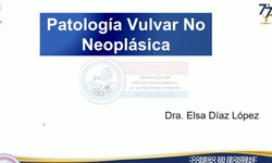 Patología vulvar no neoplásica