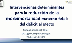 Intervenciones determinantes para la reducción de la morbimortalidad materno-fetal: del déficit al efecto