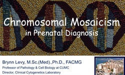 Chromosomal mosaicism: Origins and clinical implications in preimplantation and prenatal diagnosis