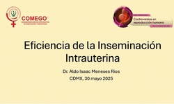 Foro Académico: Eficiencia de la inseminación intrauterina