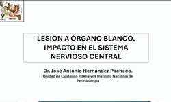 La lesión a órgano blanco: Impacto en sistema nervioso central