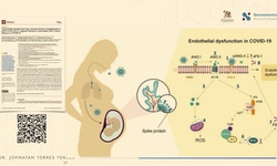 Vacunación materna y la resistencia antimicrobiana: Un enfoque preventivo