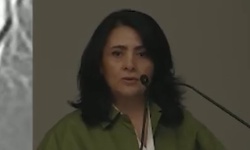Casos clínicos de patología vulvar