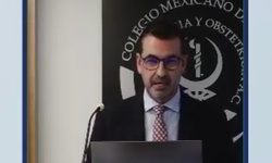 Intervenciones nutricias y suplementos vitamínicos en el embarazo