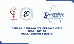 Causas del retraso en el diagnostico de endometriosis