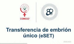 Gynetok: Transferencia de embrión único