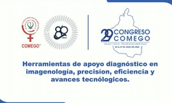 Herramientas de apoyo diagnóstico en imagenología, precisión, eficiencia y avances tecnologicos