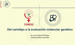 Del cariotipo a la evaluación molecular genética