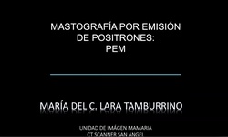 PEM (Mastografía por emisión de positrones)